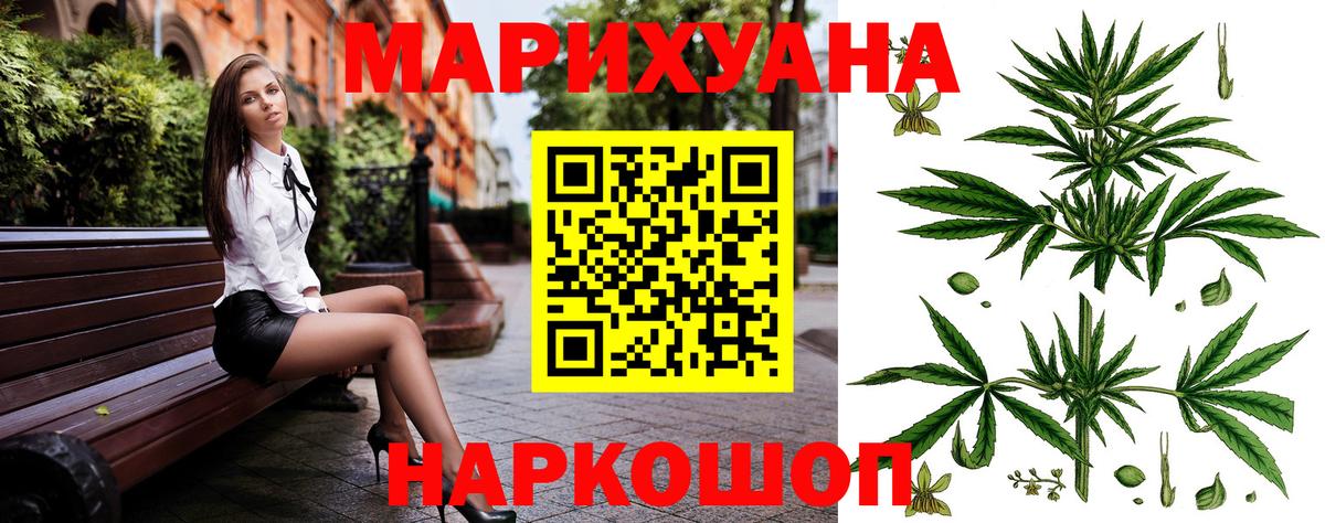 Каннабис индика Волжский